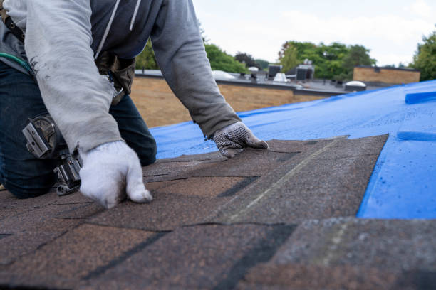Best Residential Roofing Contractor  in Mannington, WV