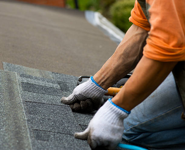 Best Roof Repair Services  in Mannington, WV