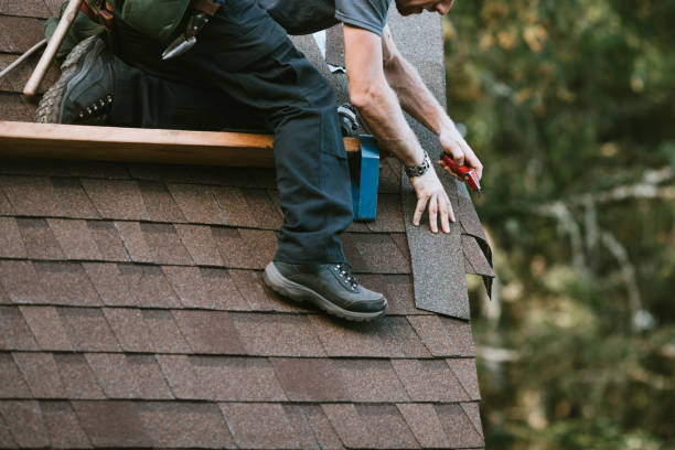 Best Roof Maintenance Services  in Mannington, WV